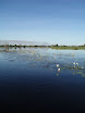 P7060088.JPG