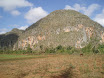 P4230020.JPG