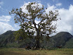 P4230062.JPG