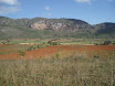 P4230035.JPG