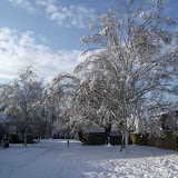 2010_0108snow0013.JPG