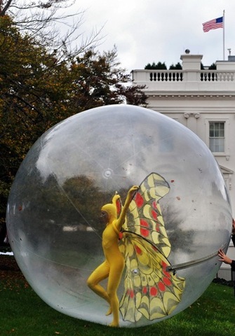[fairy[3].jpg]