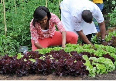 [nuclear waste garden[5].jpg]
