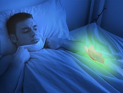 [scary_lunesta_moth2.jpg]