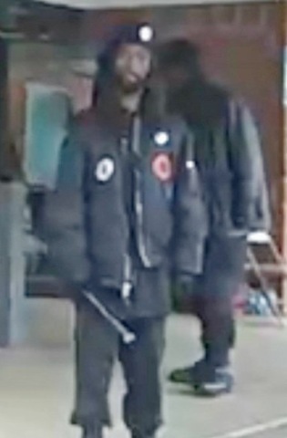 [black-panthers[6].jpg]