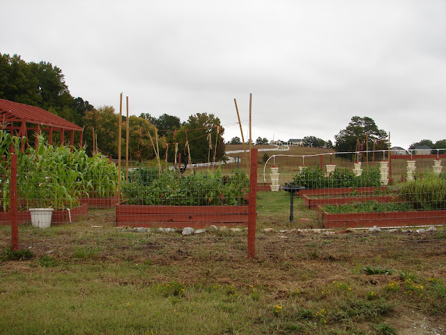 Rancho Alegre Raised Garden