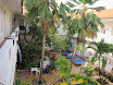 Cartagena - Hostal Media Luna