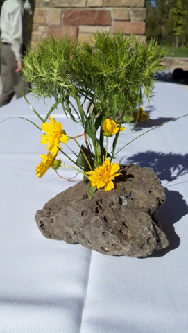 [2010-09-11_17-15-37_959[1].jpg]