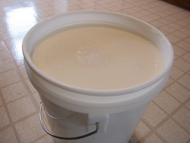 [coconutoil[6].jpg]