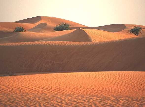 [Desert Sand Dunes, South Africa[2].jpg]