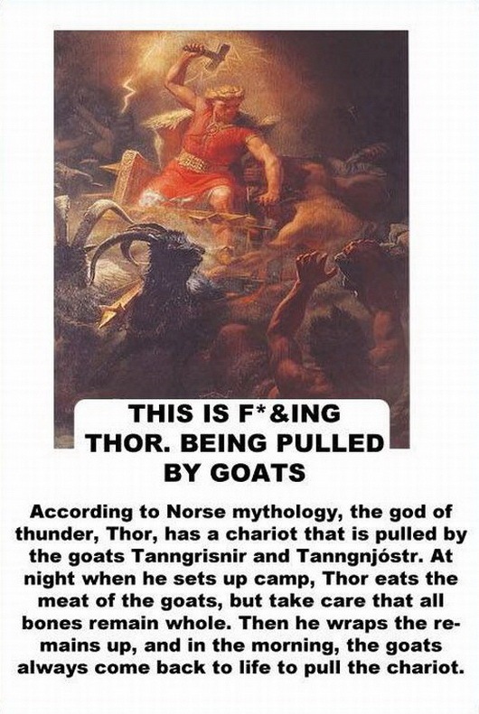 [facts about the goat -2147483643[2].jpg]