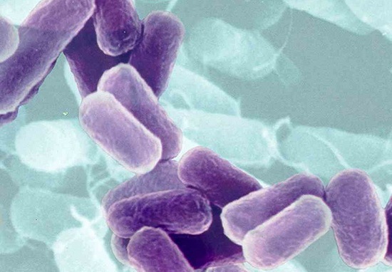 [Flesh-Eating Bacteria[2].jpg]