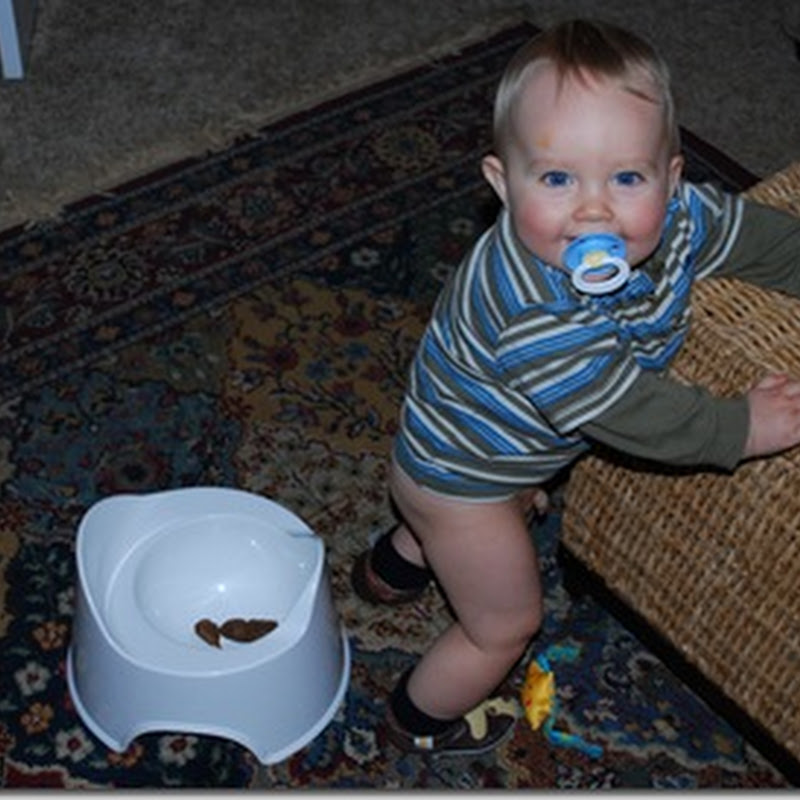 Myron Harlan S Blog Big Boy