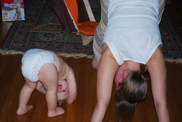 [20091111yoga0033.jpg]