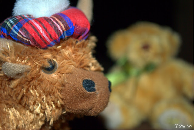 NIKON D3000 1/125s Focal Length: 48.0mm f/5.3 ISO: 100