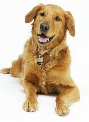 [Happy Guy[4].jpg]