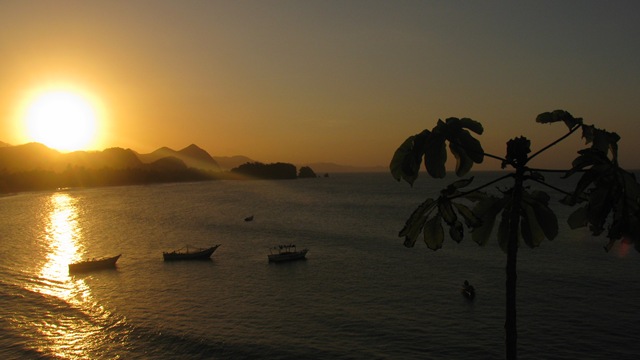 [IMG_34392.jpg]