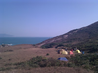 IMG_20101226_121134.jpg