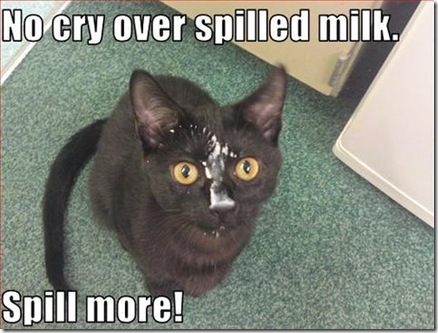 Pictures of Funny Animals (funny cat): Kitty is waiting again for... MILK SPILLING!