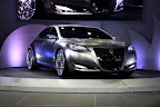 Suzuki Kizashi
