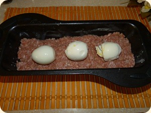 P1000423 P1000423