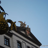 DSC_0083.JPG