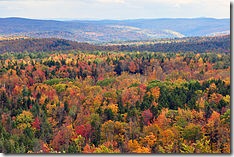 230px-Vermont_fall_foliage_hogback_mountain