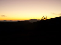 PA280119.JPG