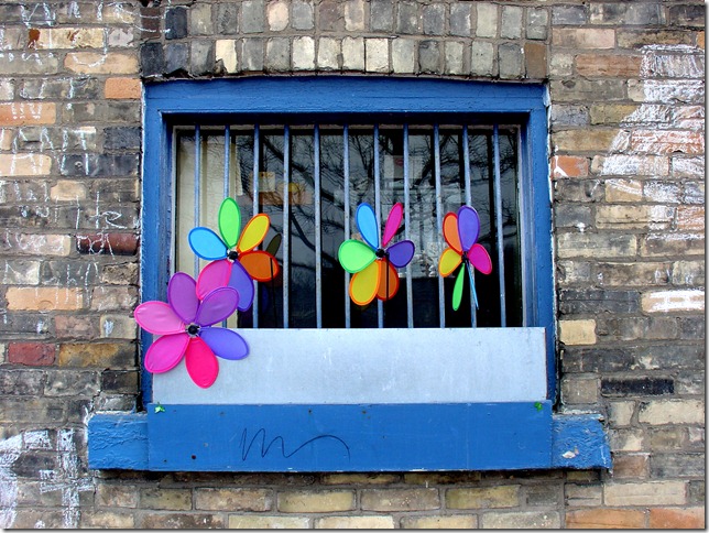 The window at York Street Kitchen