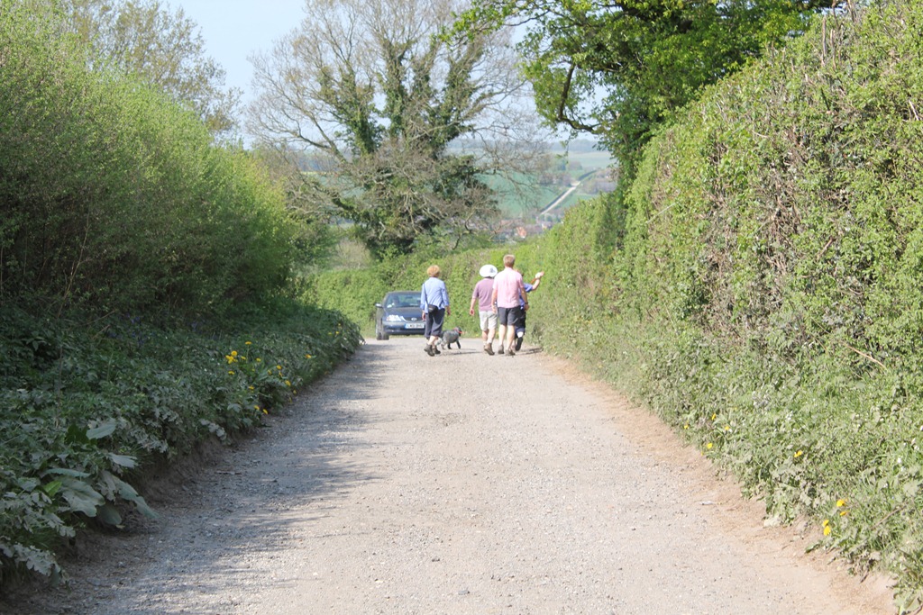 [IMG_52443.jpg]