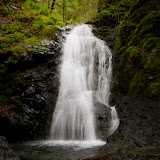 flickr photo