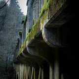 flickr photo