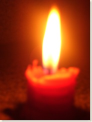 21nov 009