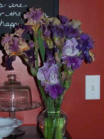 [purple iris[4].jpg]