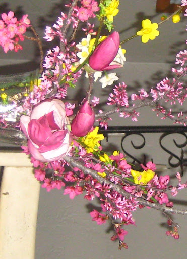 saucer magnolia tree facts. Saucer Magnolia, center, with Red Bud stems and Primrose Jasmine, yellow, in a V-day bouquet. Notable facts: Pruning should occur after flowering into the