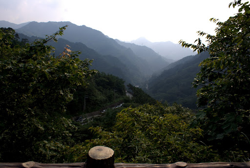 這類「山頭型景觀餐廳」共同的特色，就是總是有很好的view，可遠眺山景、溪谷，也可看到上山的路、還有溪岸的公路