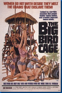 big-bird-cage