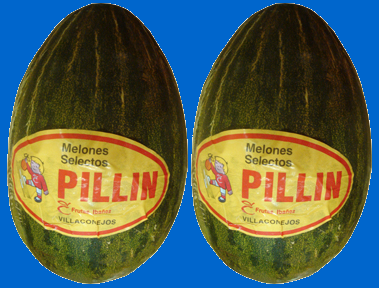 [melones pillin[11].png]