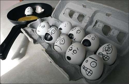 [funny-eggs-5[4].jpg]