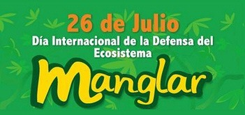 [ecosistema manglar[4].jpg]