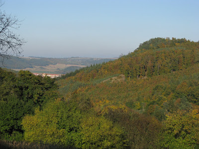 Tišnov od lesa nad Vohančicemi