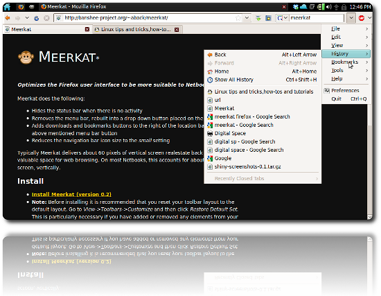 picture of firefox with the meerkat plugin