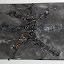 DG1 DSC 0046 web DG1