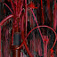 DG1 DSC 0015 web1 DG1