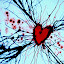 DG1 DSC 0069 web DG1