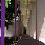luces techo DG3