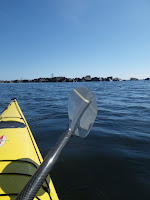 IMGP0005.JPG Photo