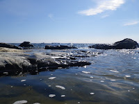 IMGP0012.JPG Photo