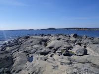 IMGP0015.JPG Photo