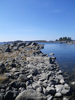 IMGP0043.JPG Photo